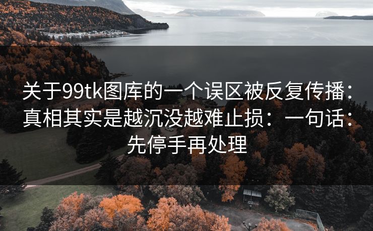 关于99tk图库的一个误区被反复传播：真相其实是越沉没越难止损：一句话：先停手再处理