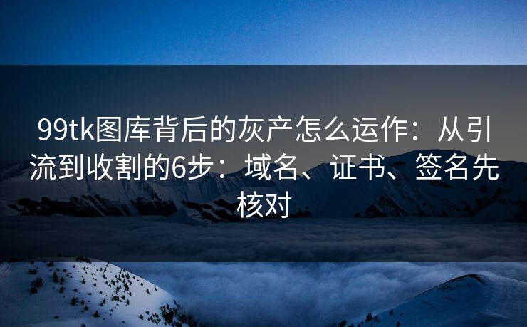 99tk图库背后的灰产怎么运作：从引流到收割的6步：域名、证书、签名先核对