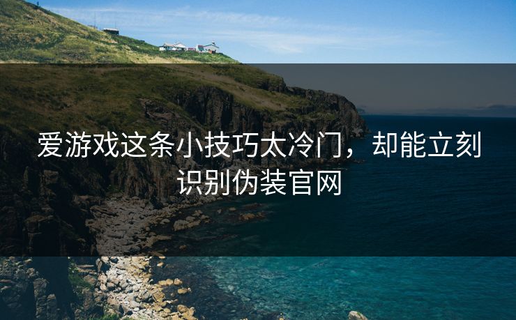 爱游戏这条小技巧太冷门，却能立刻识别伪装官网