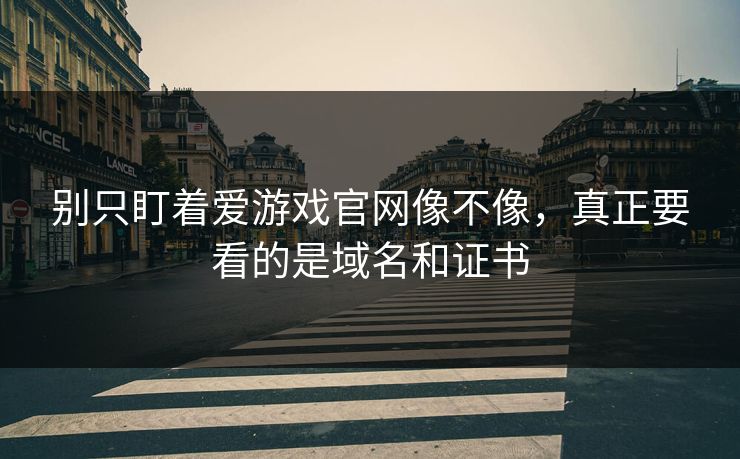 别只盯着爱游戏官网像不像，真正要看的是域名和证书